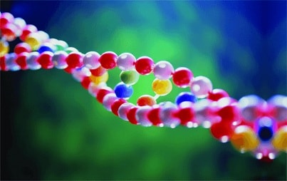 Проведение экспертизы ДНК