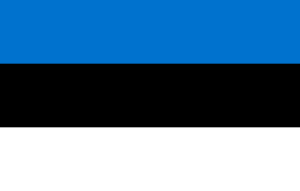 детективное агентство эстония