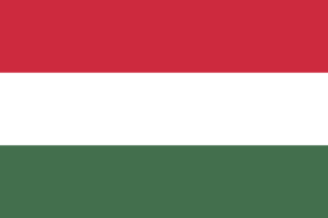 детективное агентство венгрия